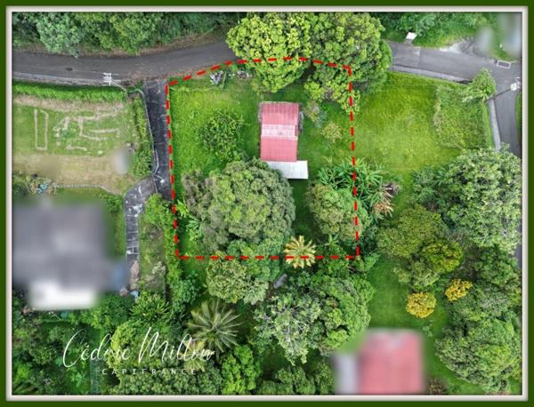 Terrain plat de 1300 m² – au Gros-Morne