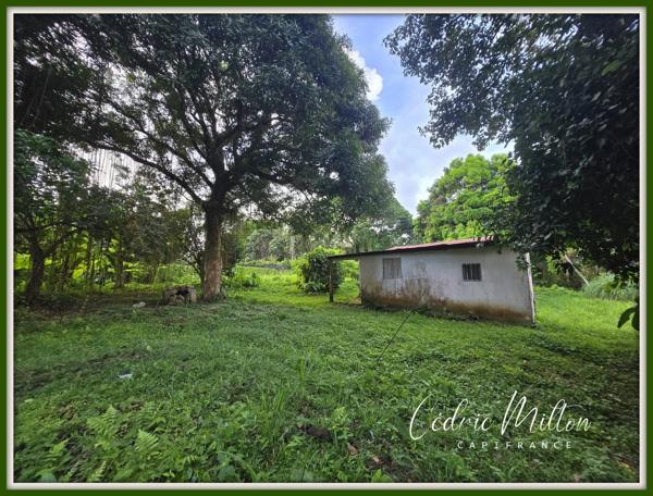 Terrain plat de 1300 m² – au Gros-Morne