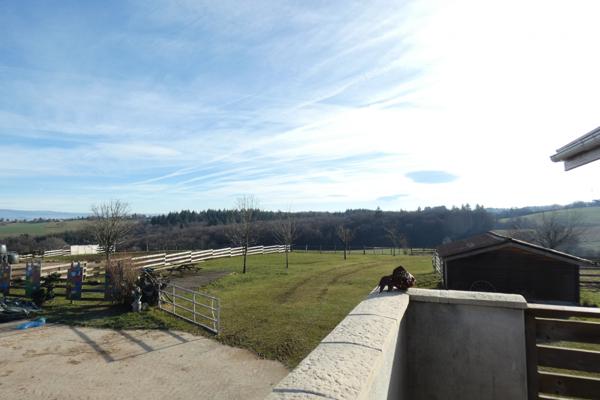 GRANDE PROPRIETE 1.5 HECTARE, VASTE DEPENDANCE,PISCINE COUVERTE, Saint-Mamet-la-Salvetat (15220)