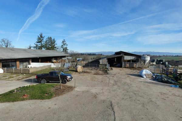 GRANDE PROPRIETE 1.5 HECTARE, VASTE DEPENDANCE,PISCINE COUVERTE, Saint-Mamet-la-Salvetat (15220)