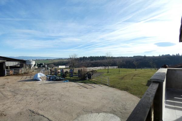 GRANDE PROPRIETE 1.5 HECTARE, VASTE DEPENDANCE,PISCINE COUVERTE, Saint-Mamet-la-Salvetat (15220)