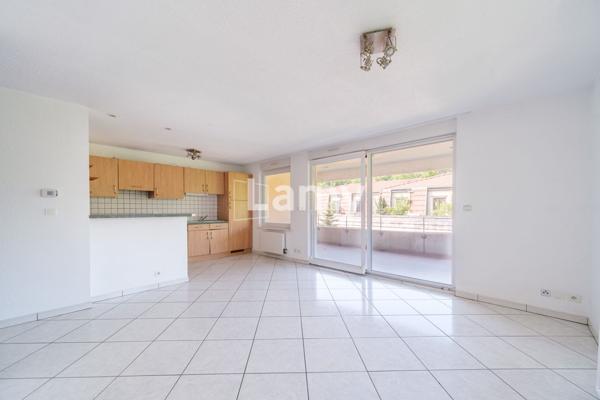 Superbe appartement avec grande terrasse à kembs