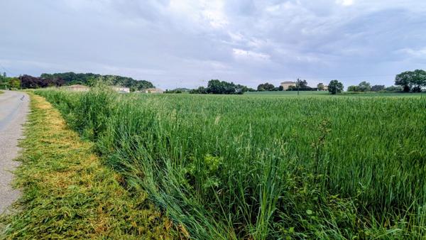 Terrain à bâtir – 828 m² – Bon-Encontre