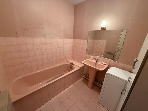 Appartement T3 VILLEURBANNE 69100 Sud GRATTE - CIEL / balcon - Cave et place de parking privative en SUS