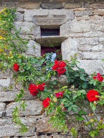 Grande propriété à vendre à Guiscriff dans le Morbihan (56560), ref : 11352/860   
campagne