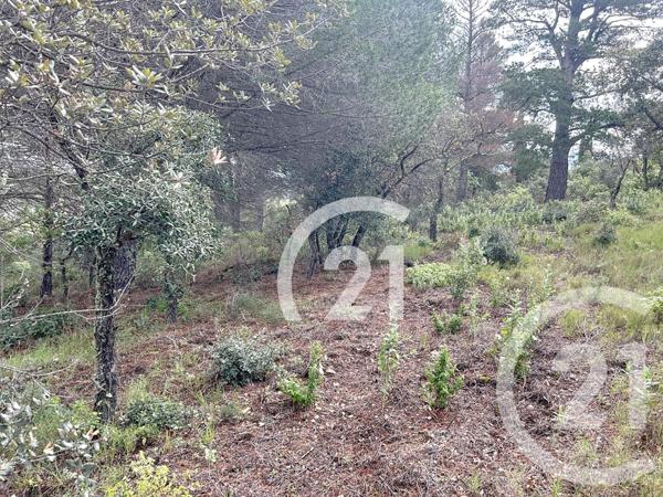 Terrain à vendre  10300 m2 LLAURO - 66