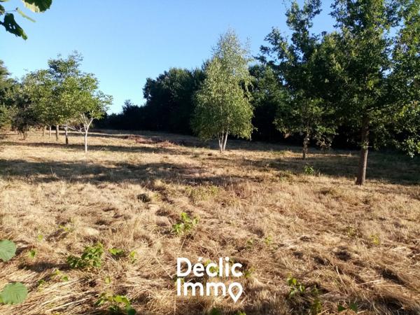 Vente terrain constructible Sanxay, 29 980€ Vienne Poitou-charentes N°