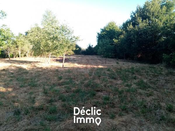 Vente terrain constructible Sanxay, 29 980€ Vienne Poitou-charentes N°