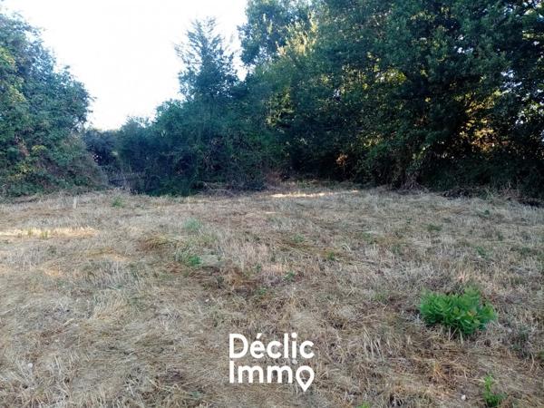 Vente terrain constructible Sanxay, 29 980€ Vienne Poitou-charentes N°