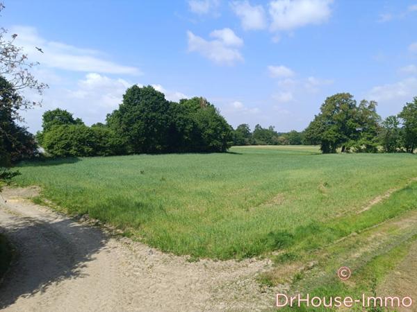 Maison à vendre 13 pièces de 379 m²