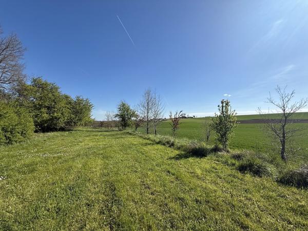 Castelsagrat (82400) CASTELSAGRAT Maison avec 5 chambres, gite, dependants, 3 hectares et piscine