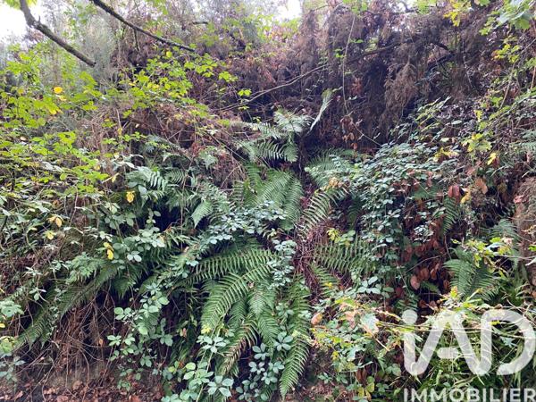 Terrain à vendre 3 340 m² Montrevault-sur-Èvre