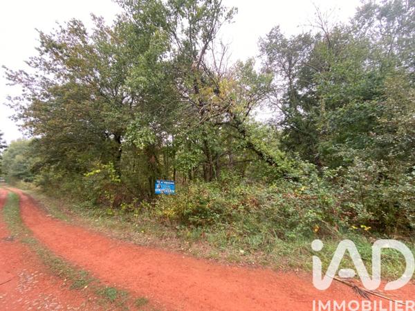 Terrain à vendre 3 340 m² Montrevault-sur-Èvre