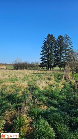 Maison avec véranda et beau terrain !