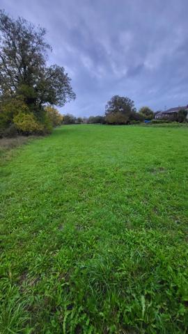NEUVILLE-SUR-ORNAIN Terrain constructible de 2810m² non viabilisé en pleine campagne, dans un environnement calme et verdoyant.