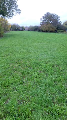 NEUVILLE-SUR-ORNAIN Terrain constructible de 2810m² non viabilisé en pleine campagne, dans un environnement calme et verdoyant.
