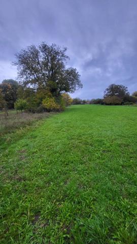 NEUVILLE-SUR-ORNAIN Terrain constructible de 2810m² non viabilisé en pleine campagne, dans un environnement calme et verdoyant.
