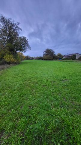 NEUVILLE-SUR-ORNAIN Terrain constructible de 2810m² non viabilisé en pleine campagne, dans un environnement calme et verdoyant.