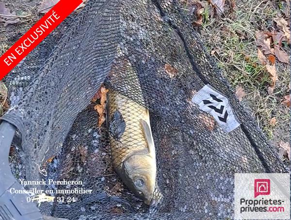 ETANG sur terrain de  5 000M²