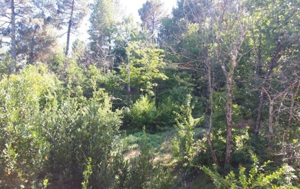 Vente Maison Les vans   