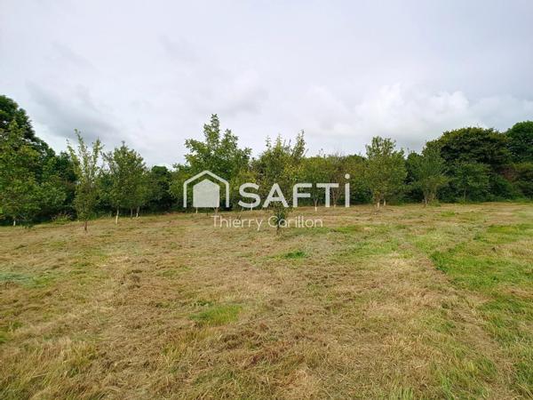 HANGAR + VERGER - LE CHARME A LA CAMPAGNE