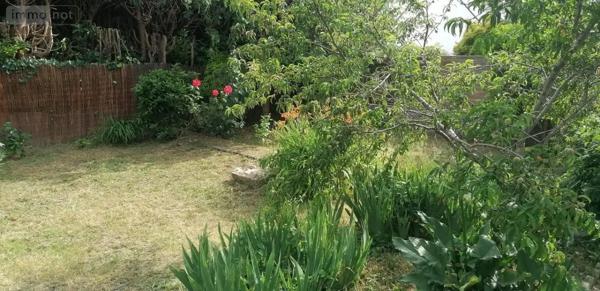Achat - Maison Carhaix-Plouguer 29270 104 m 2 313 m 2