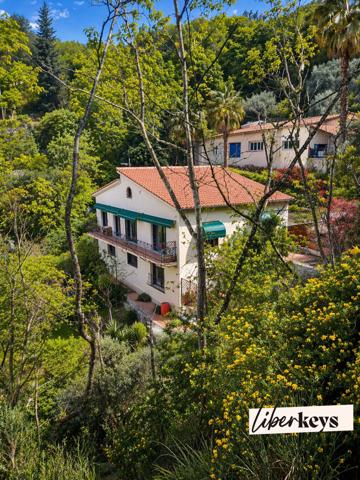 Villa provençale 230 m² | 10 pièces | 5 chambres | Terrain 1 900 m² | Écrin de verdure | Roquebrune-Cap-Martin