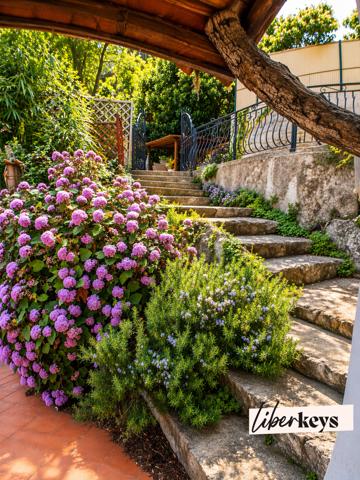 Villa provençale 230 m² | 10 pièces | 5 chambres | Terrain 1 900 m² | Écrin de verdure | Roquebrune-Cap-Martin