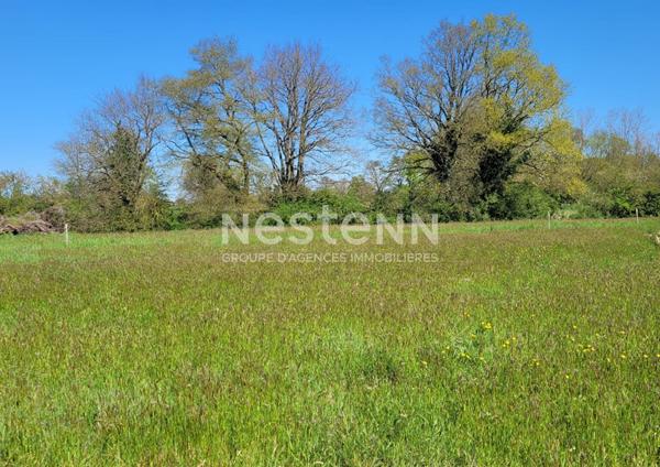 A vendre - Terrain viabilise proche axe Vihiers/Bressuire - D5836