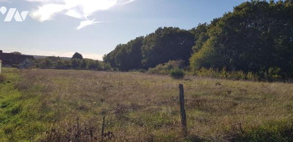A CHATRES SUR CHER (41) - Dans un secteur calme, une parcelle de terrain à bâtir d'une surface ...