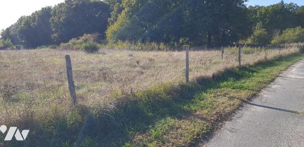 A CHATRES SUR CHER (41) - Dans un secteur calme, une parcelle de terrain à bâtir d'une surface ...