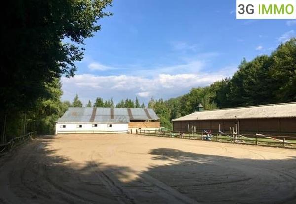 Vente / Propriété équestre