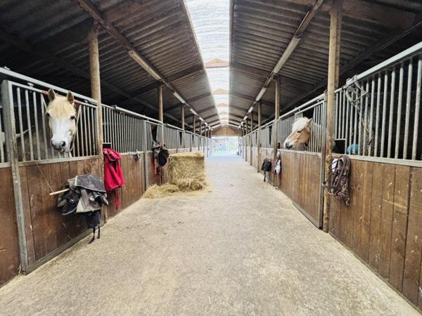 Vente / Propriété équestre