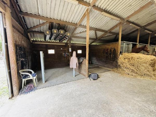 Vente / Propriété équestre