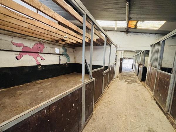 Vente / Propriété équestre