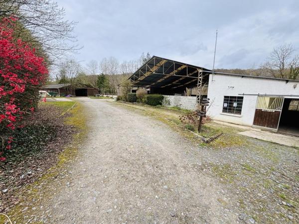 Vente / Propriété équestre