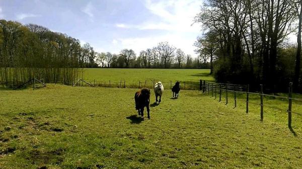 Propriété sur 5 ha secteur Meslay du Maine