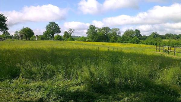 Propriété sur 5 ha secteur Meslay du Maine