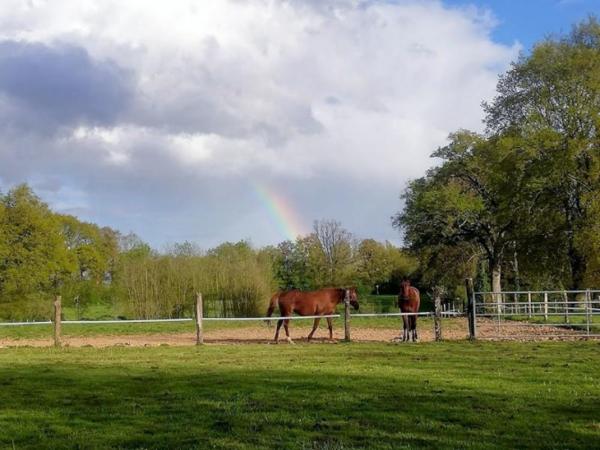 Propriété sur 5 ha secteur Meslay du Maine