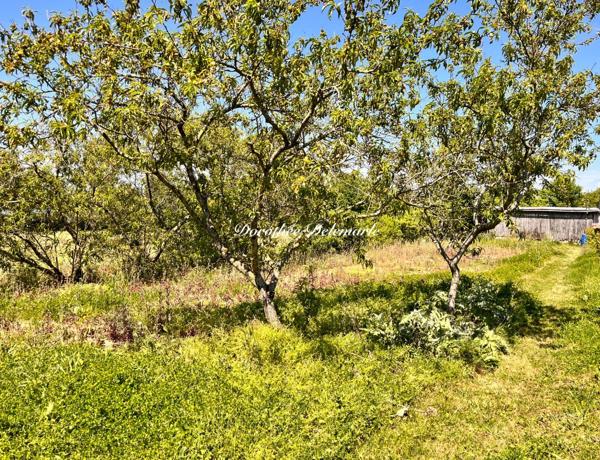 Terrain à vendre SAINT MARD (17)Grand terrain constructible de 2075 m² – Environnement calme avec arbres fruitier