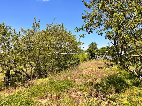 Terrain à vendre SAINT MARD (17)Grand terrain constructible de 2075 m² – Environnement calme avec arbres fruitier