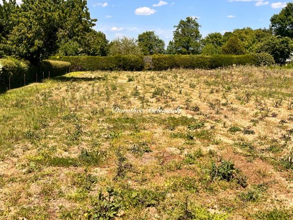 Terrain à vendre SAINT MARD (17)Grand terrain constructible de 2075 m² – Environnement calme avec arbres fruitier