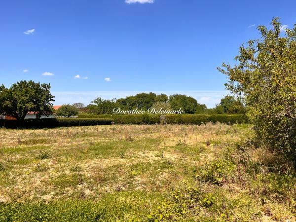 Terrain à vendre SAINT MARD (17)Grand terrain constructible de 2075 m² – Environnement calme avec arbres fruitier