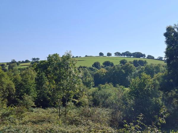 MAISON EN PIERRES A RENOVER au coeur des Alpes Mancelles, au calme, fond impasse, à quelques minutes de ST LEONARD DES BOIS