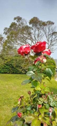 Maison à vendre 6 pièces de 120 m²