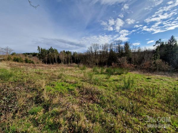 Terrain constructible de 3361m² Taintrux (88100)