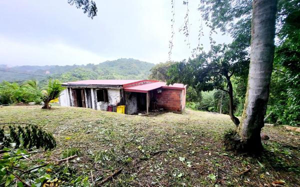Maison à vendre    4 pièces • 68,70 m2 Rivière-Pilote
