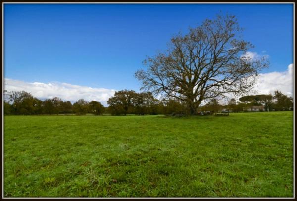 PROCHE PEYREHORADE ( Commune de Saint Cricq du Gave ) - TERRAIN A BATIR - 866 m2