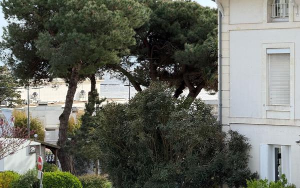 Appartement à vendre    2 pièces •  Vaux-sur-Mer