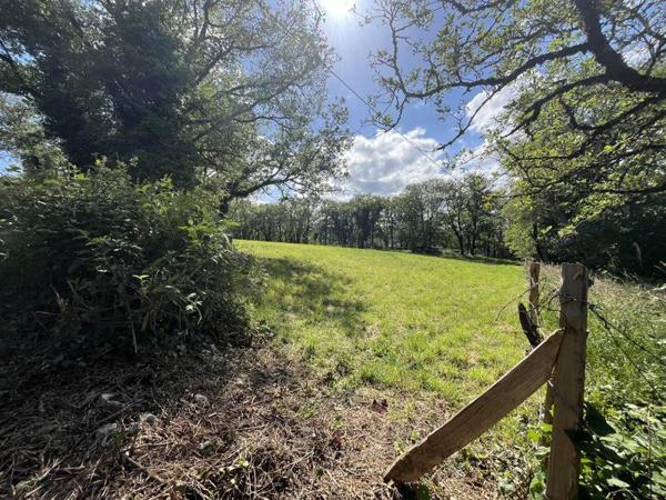 Terrain 43 900 € Parisot 3242 m² DPE